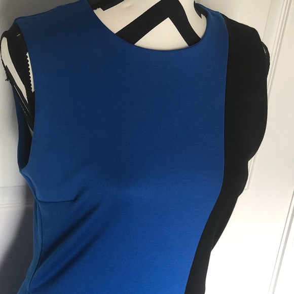 Sheath Dress - Picture 4 of 5